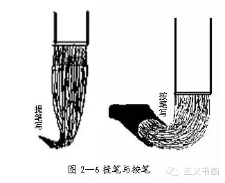 速写中锋和侧锋图解图片