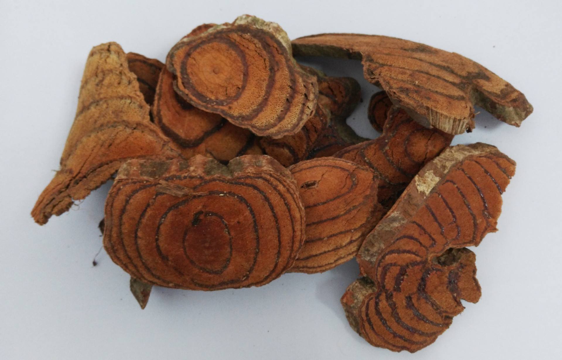 下面为大家收集了类风湿患者常用,并且效果很好的利湿除痹的10个民间