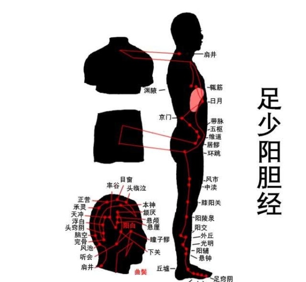 胆经一通万病无踪老中医分享1套真人胆经操5分钟学会