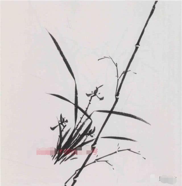 水墨兰竹写意画,写意兰竹画法步骤示范