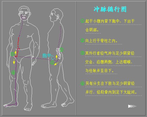 图解奇经八脉循行路线