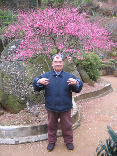 意拳传人王安平先生站桩意拳传人张广玉先生站桩三心并站庄:意守混元