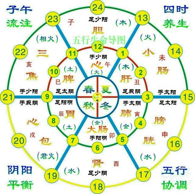 黄帝内经十二时辰养生法不仅仅注意时间