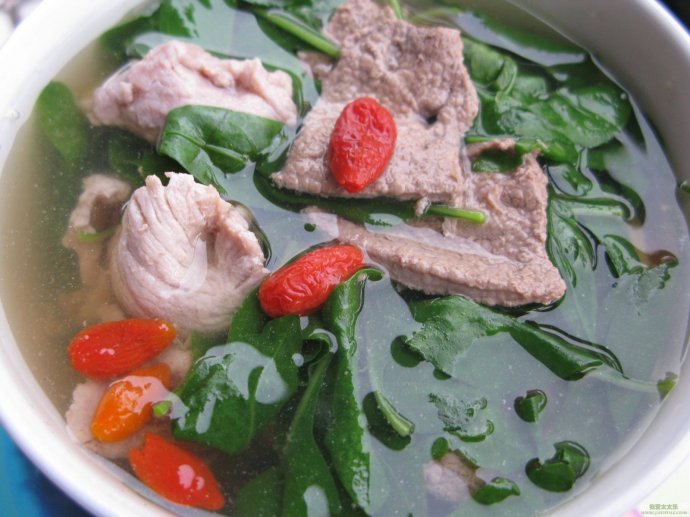 中国常见野菜及其食用100种附图