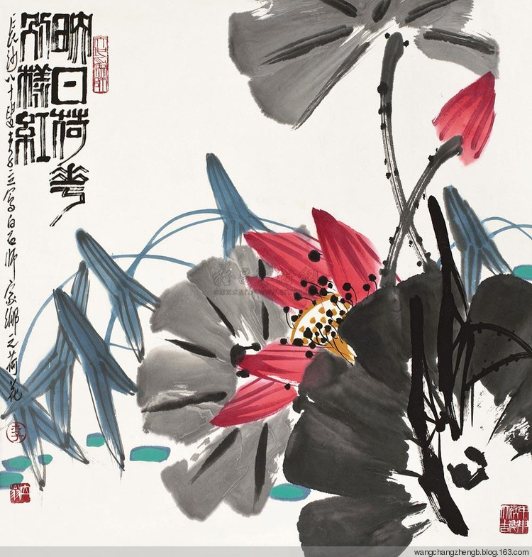 李立花鸟作品欣赏