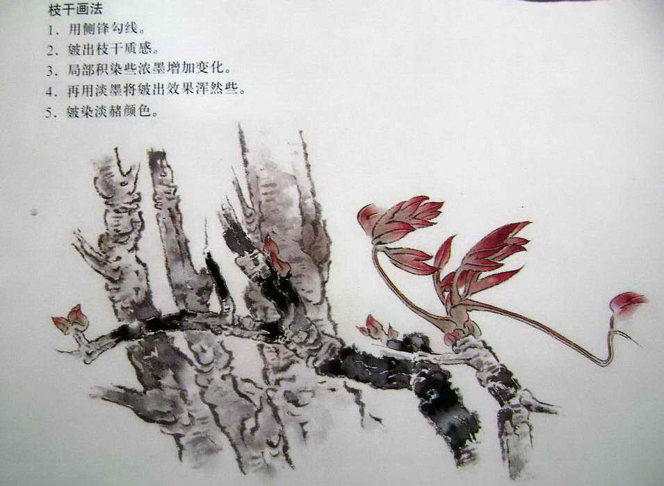 树干工笔技法步骤