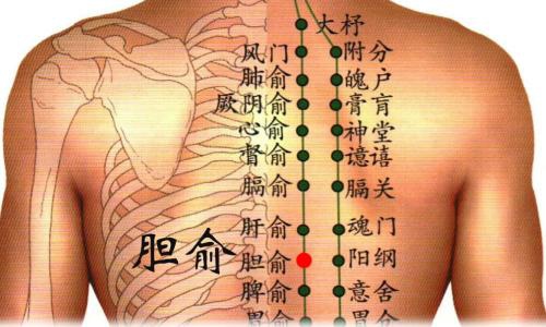 穴位的故事145膽俞調肝利膽