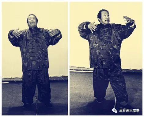 大成拳 | 王选杰先生谈站桩(深度好文)