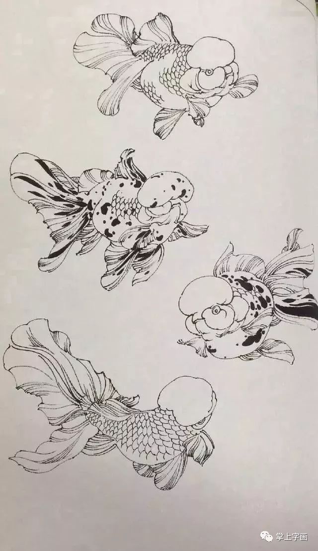 工笔画金鱼超详细