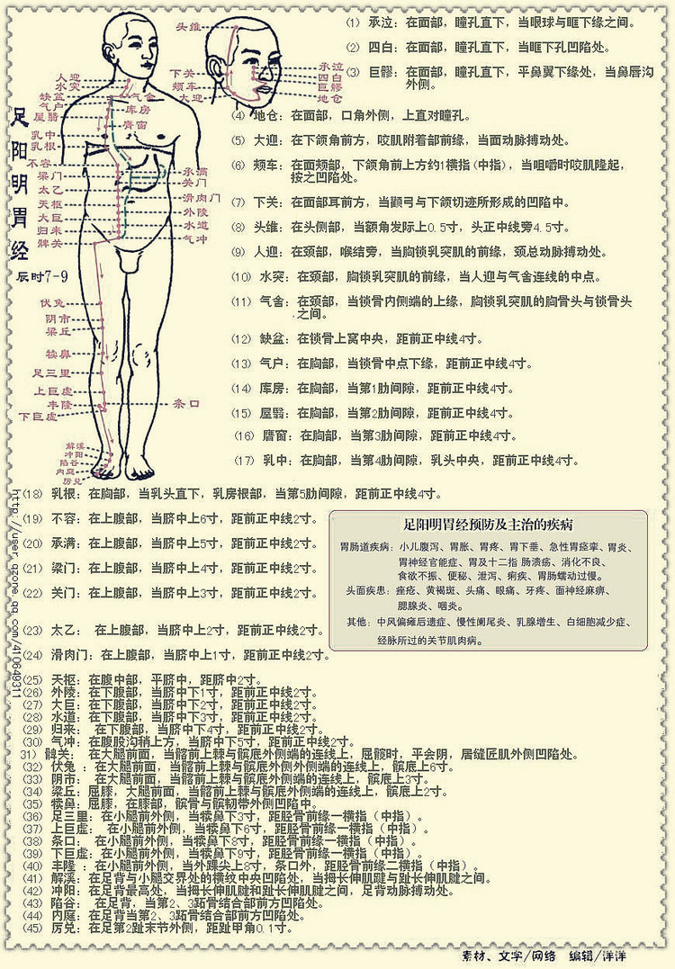 各个人体穴位的具体位置及主治疾病详解