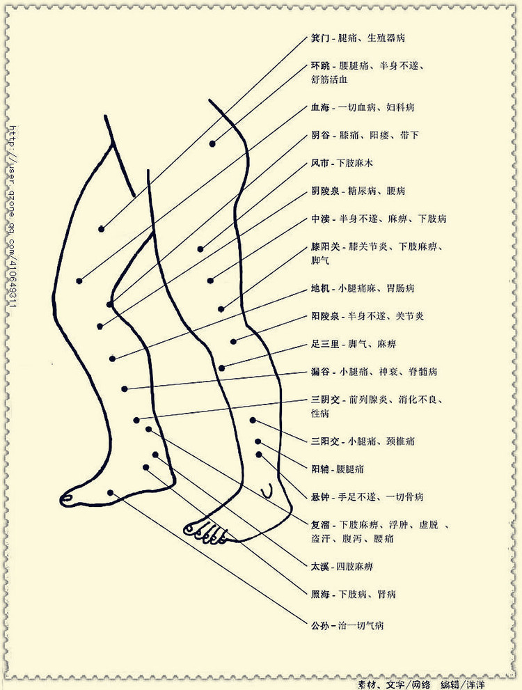 各个人体穴位的具体位置及主治疾病详解