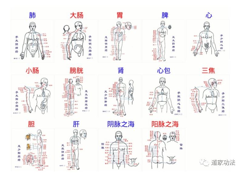 蛰龙睡丹功图解图片