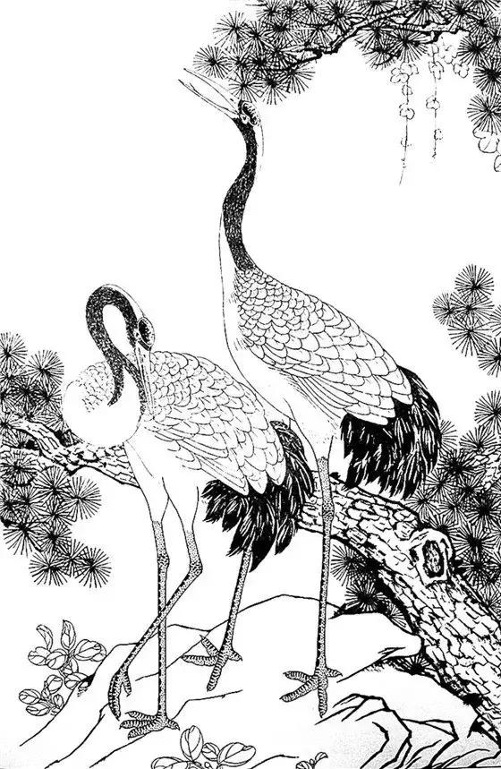 最全的白描花鸟仙鹤篇