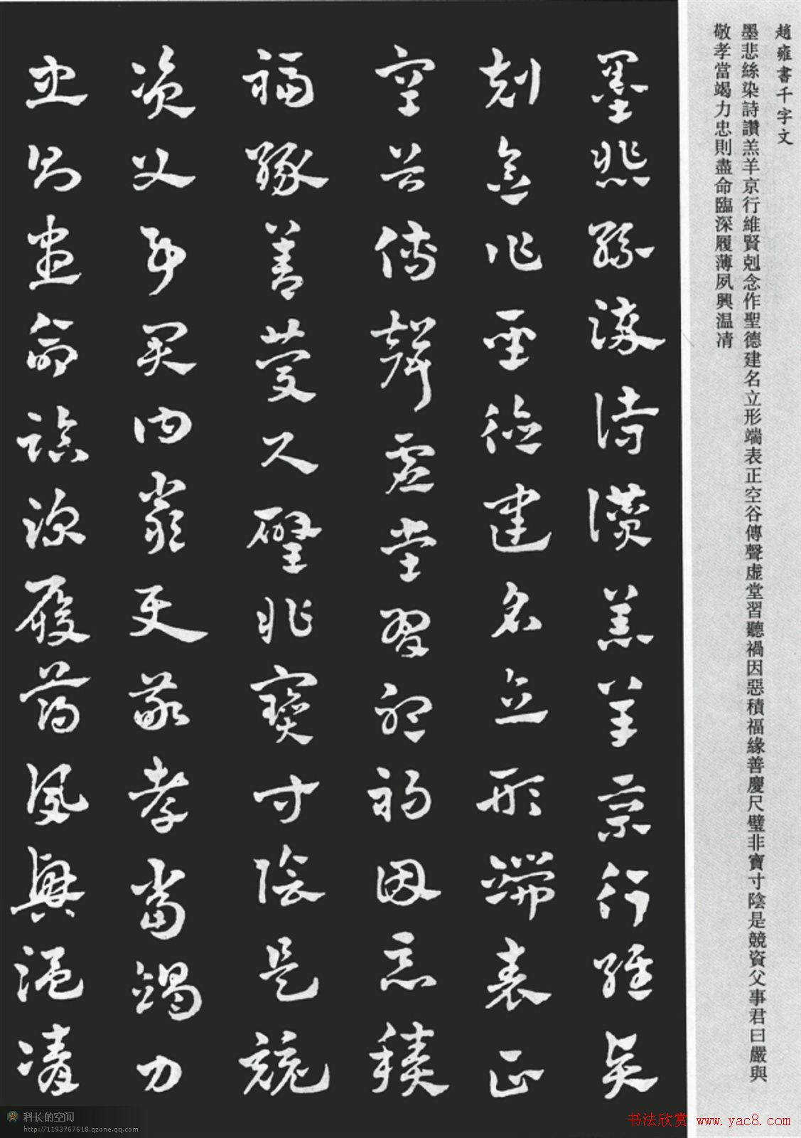 赵雍书法章草千字文大图附释文