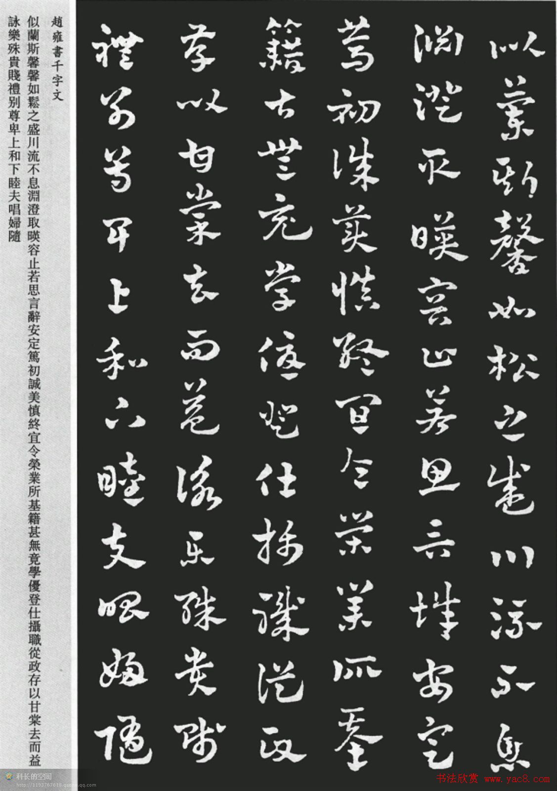 赵雍书法章草千字文大图附释文