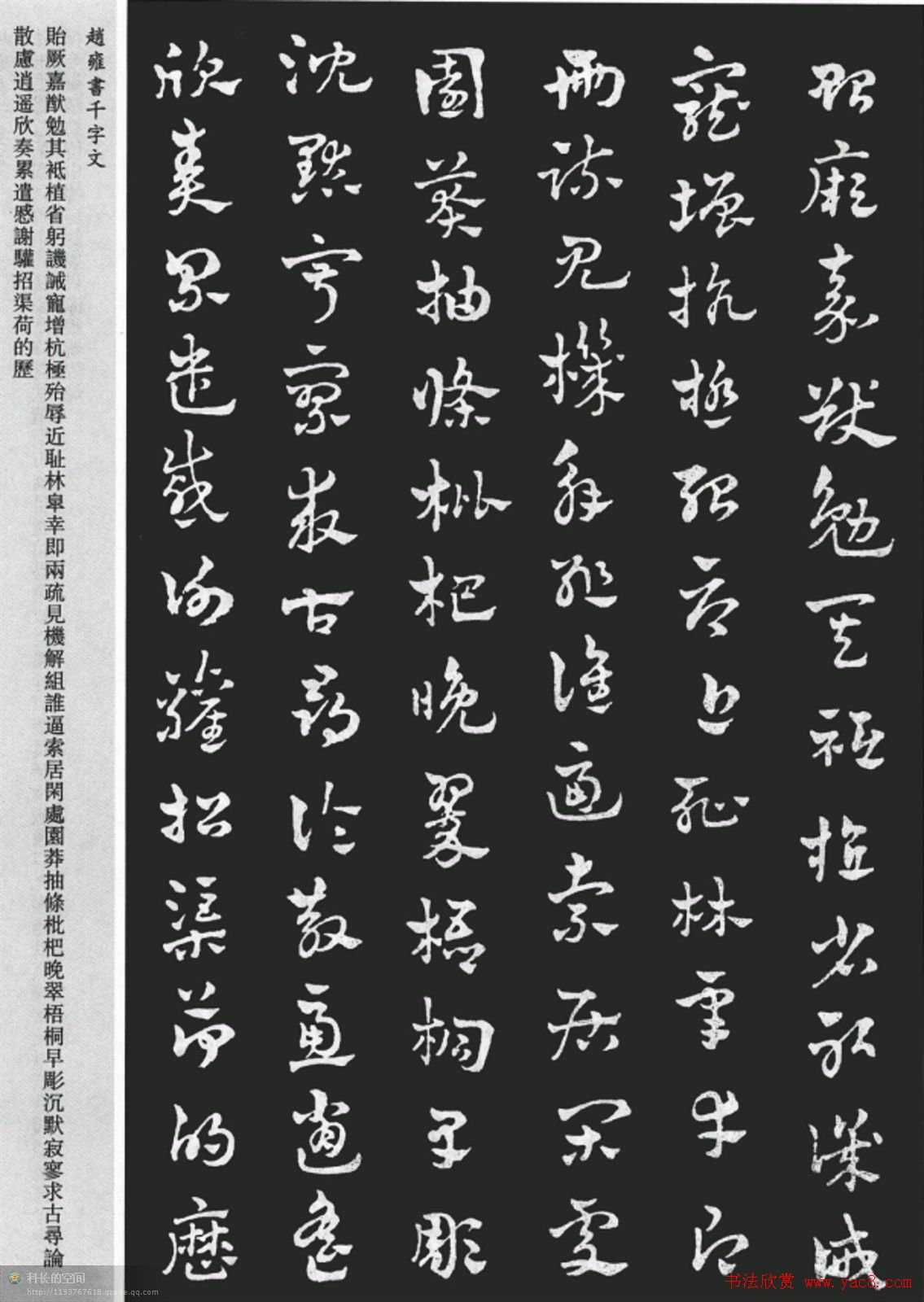 赵雍书法章草千字文大图附释文