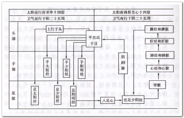 用二十八宿测度卫气运行法