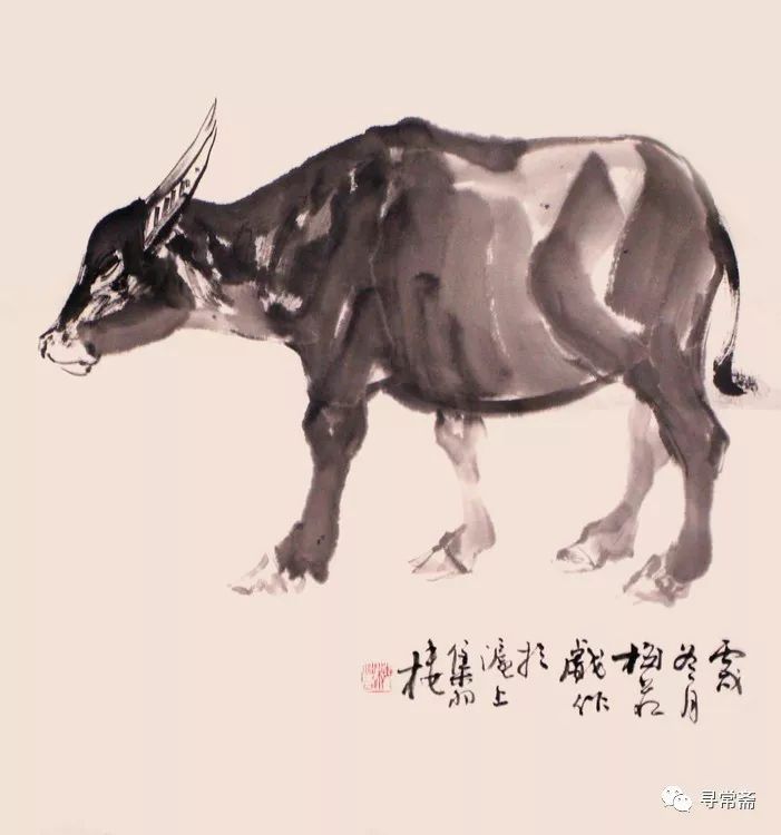 著名画家梅若先生画牛上