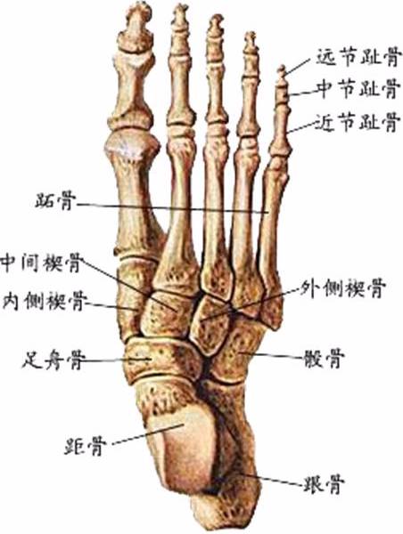 (内含视频讲解)[好网角文章收藏]