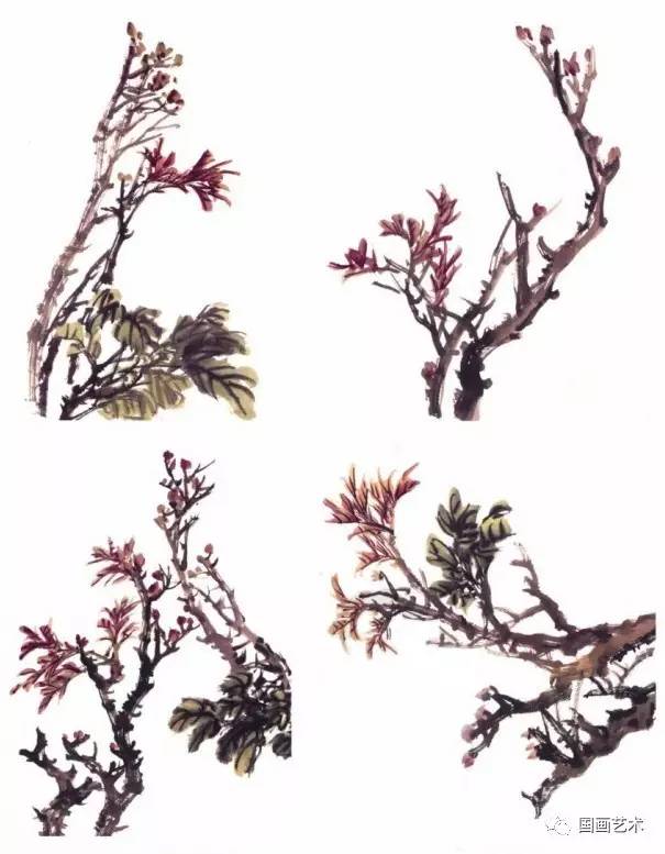 牡丹枝叶画法和调色图片