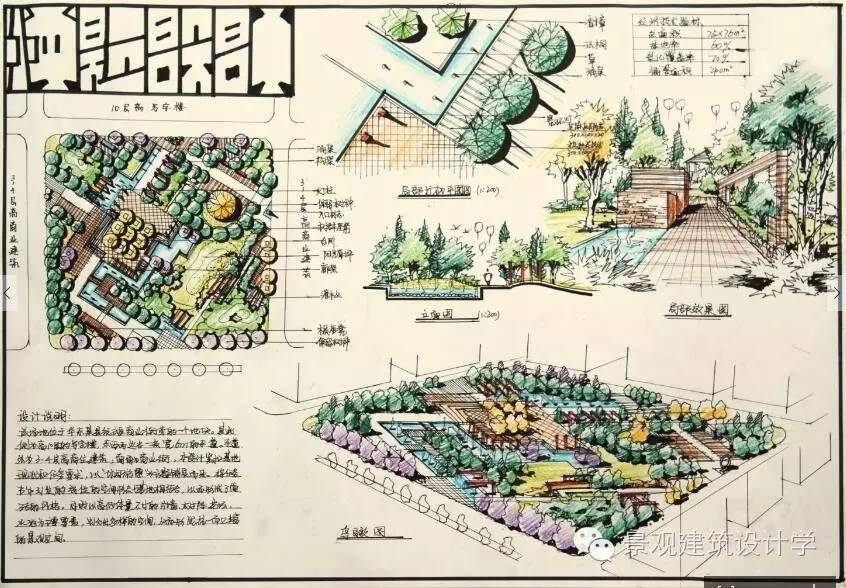 南京林業大學風景園林城市景觀史上最全高分快題14快題第一名15第二名