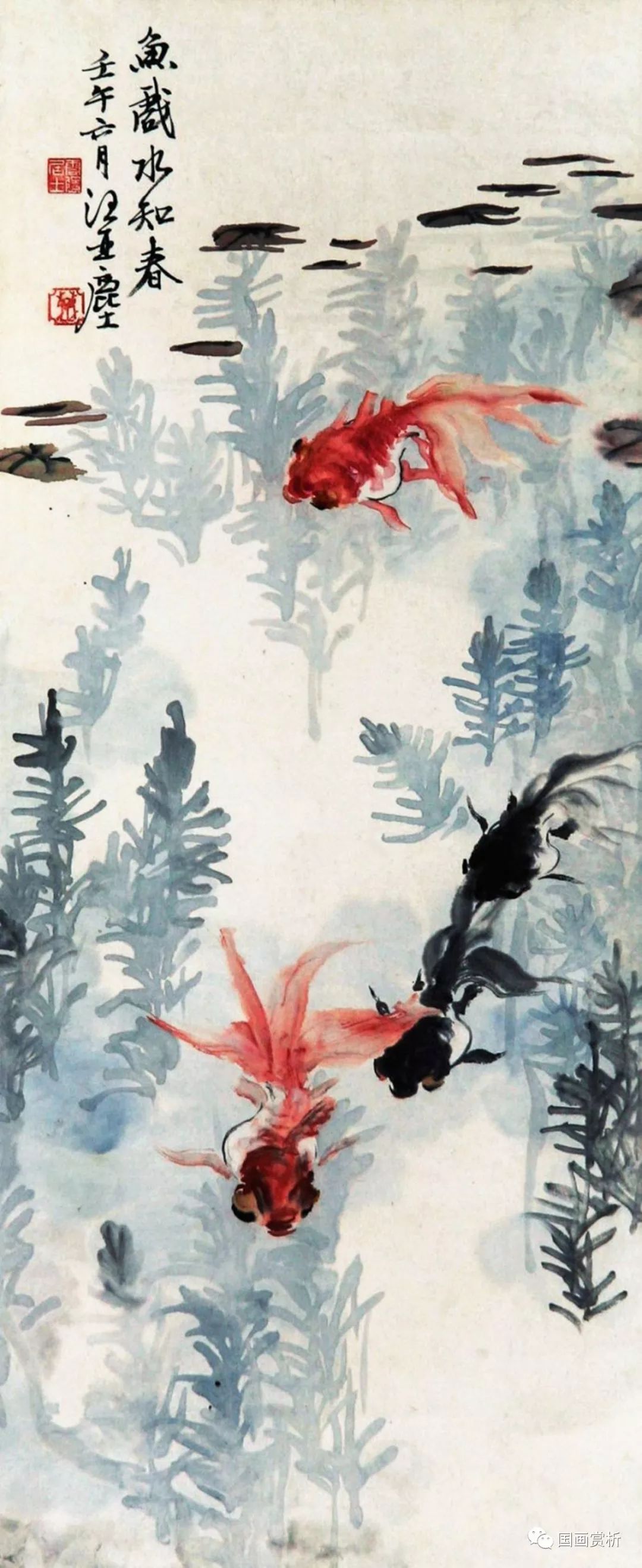 金鱼先生汪亚尘