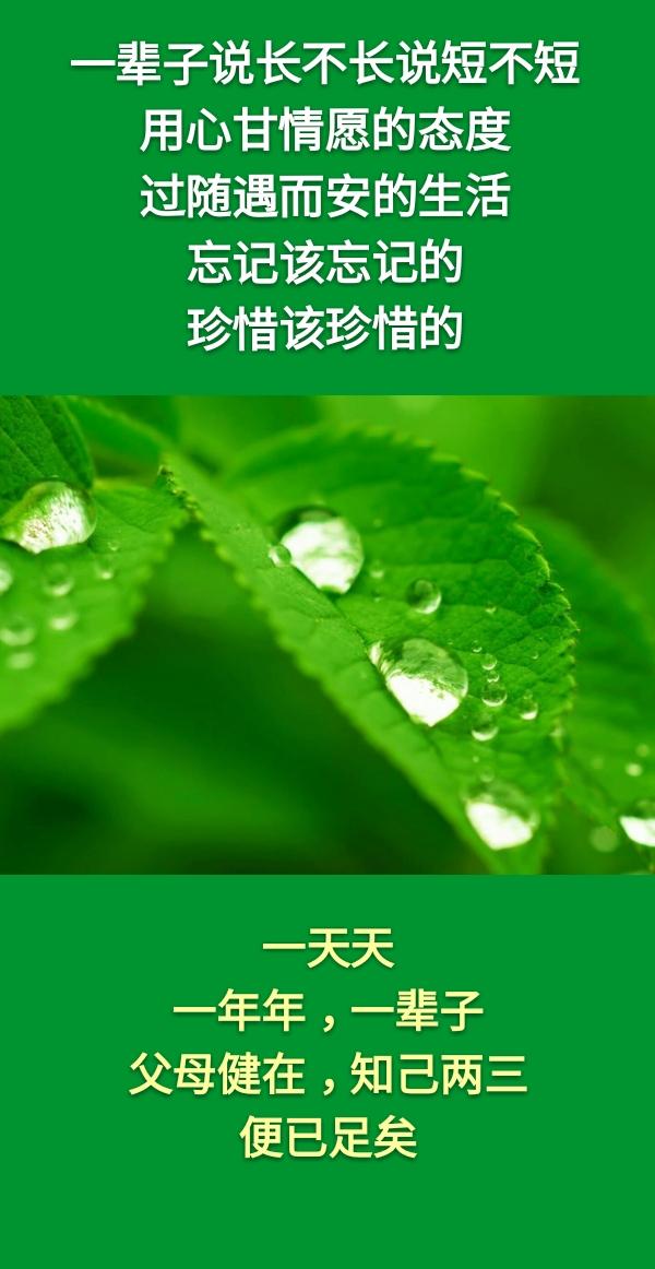 走着走着一辈子就这样过去了