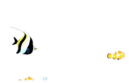 透明gif动画鱼类素材