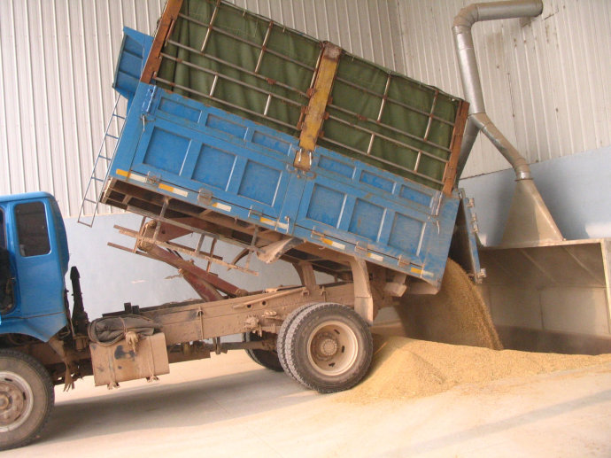 下粮坑底部通向室内,用提升机把湿谷送至清选机,去除杂质后再送入暂贮