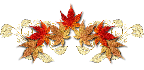 500_242gif 动态图 动图