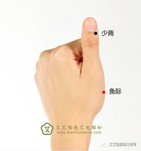 因此穴在拇短展肌,拇指对掌肌之边缘,又此处肌肉丰隆,形如鱼腹,又当赤