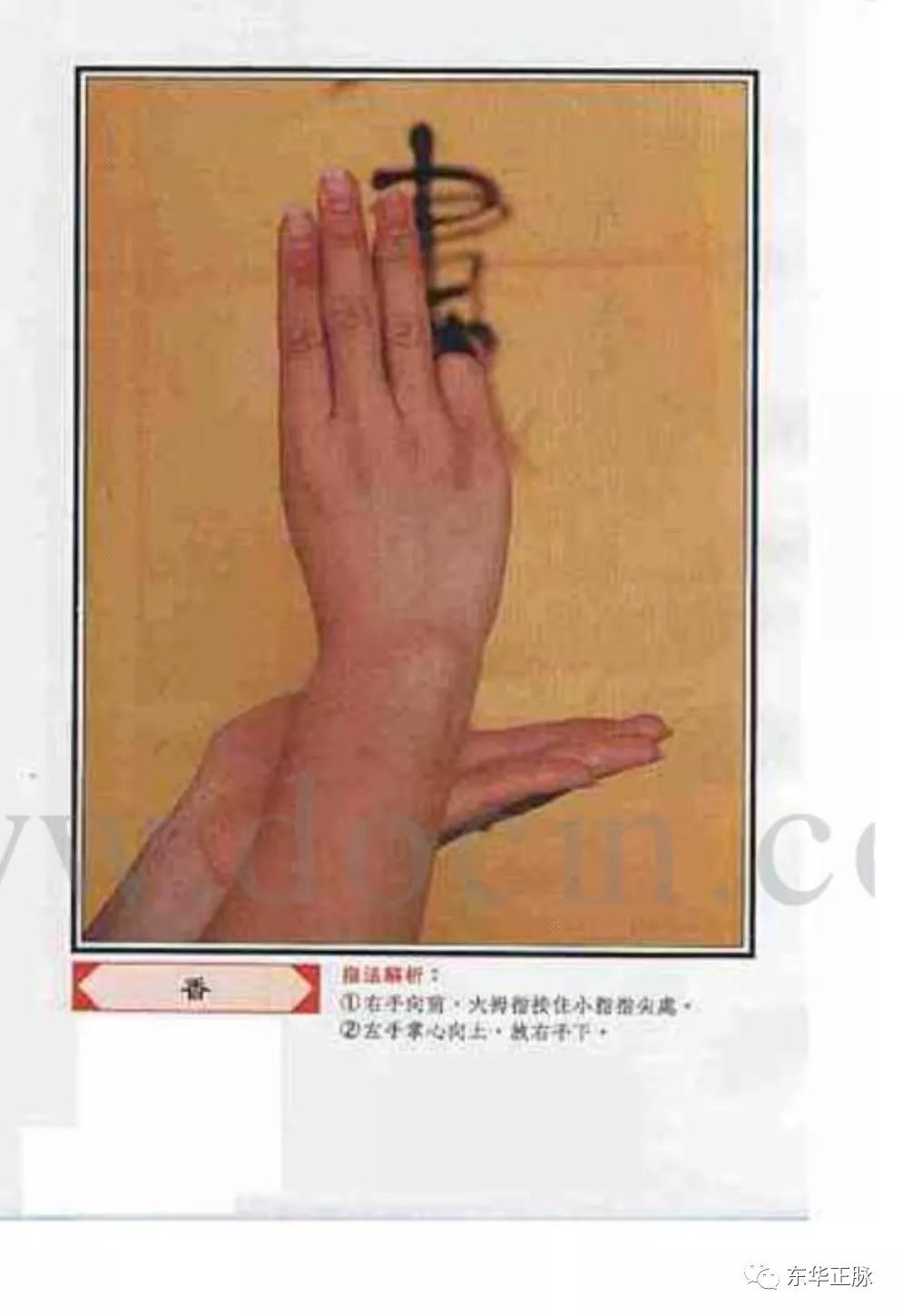 道教三清指手印图片