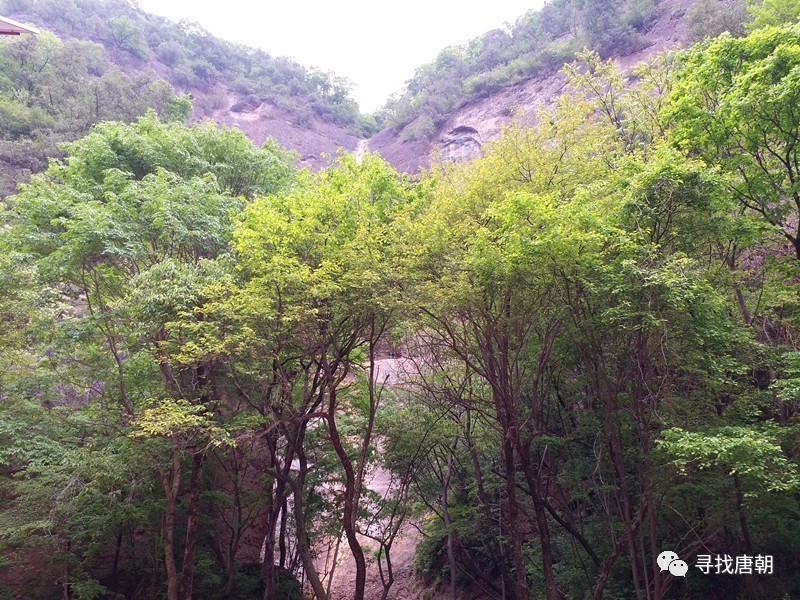溪山行旅图下部局部与照金山沟局部图对比雨点皴法,条子皴法与照金崖