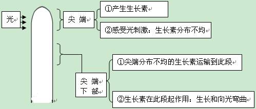 植物生长素的归类例析