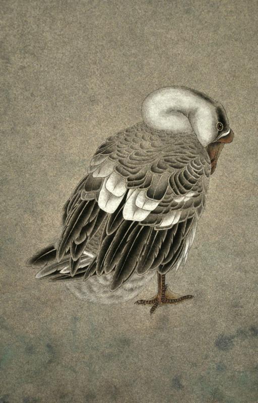 书画教程工笔鹅的画法