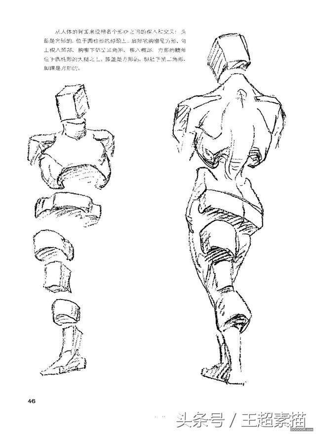 收藏级素描速写必备伯里曼人体结构高清版02