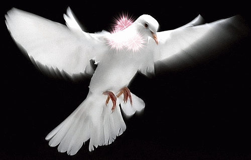 善待缘分珍惜感情