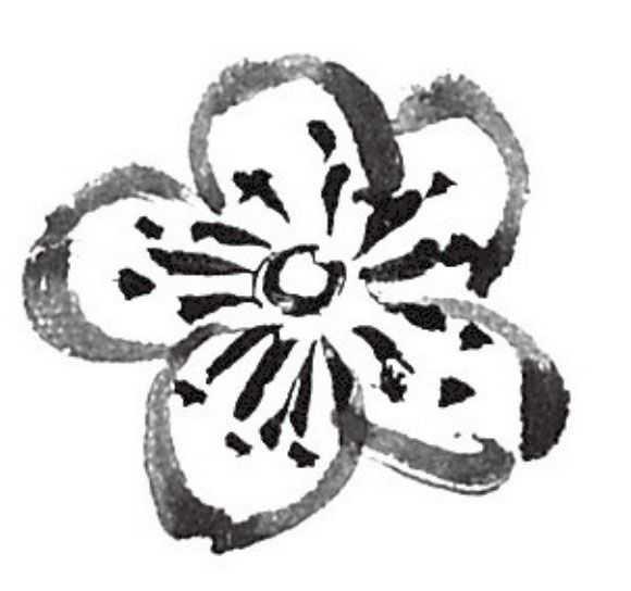 怎么样用双勾法画梅花分步骤讲解教你画适合0基础学习收藏