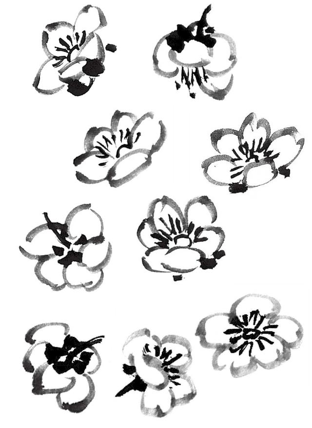 怎么样用双勾法画梅花分步骤讲解教你画适合0基础学习收藏