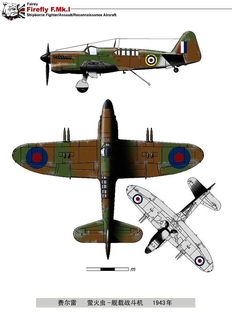 二战英国飞机图鉴图片
