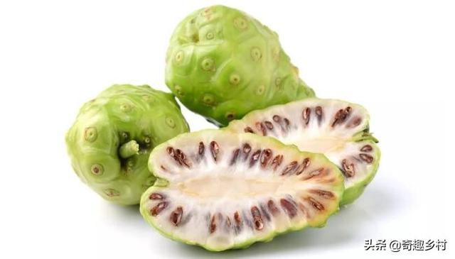 国内外41种不常见的奇葩水果你都知道哪些?吃过哪些?