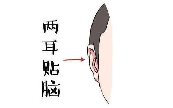 耳朵贴脑的男人图片