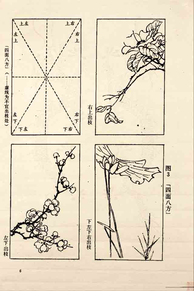 花鸟画创作说明图片