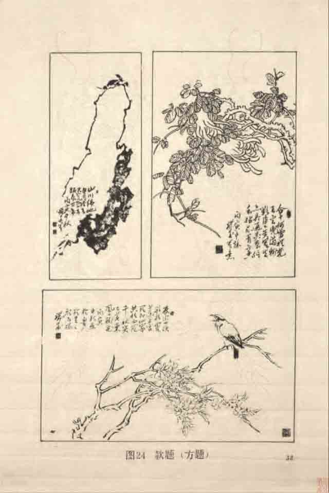 花鸟画步骤图集