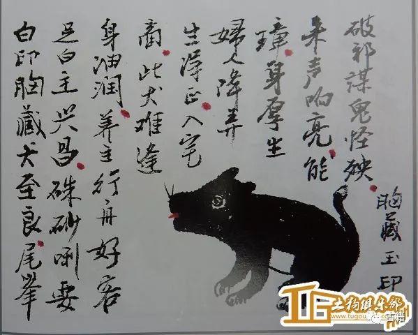 古籍相犬大全全本让你大开眼界