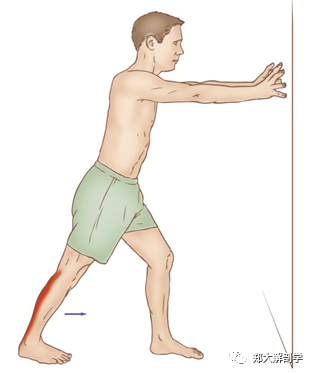 小腿肌肉的扳機點與拉伸