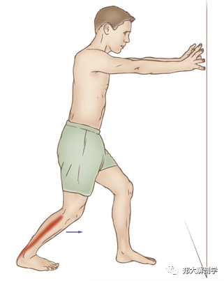 小腿肌肉的扳機點與拉伸