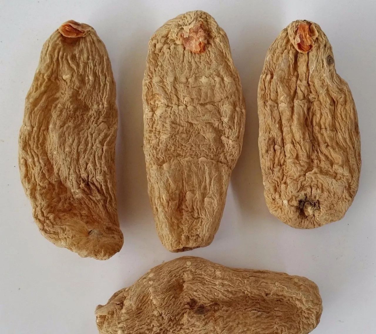 每日一学草药68:天麻[好网角文章收藏]