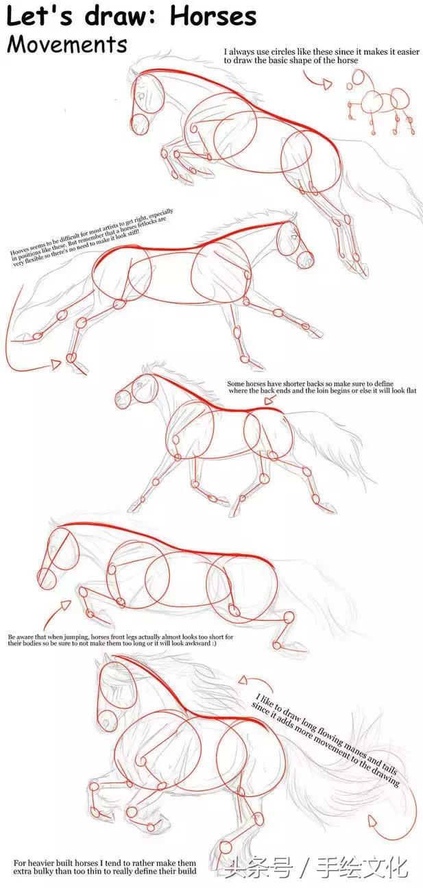 画马的动态结构分解及详细教程图