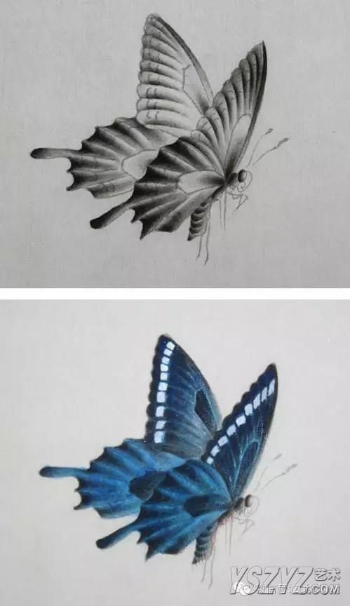 单个蝴蝶工笔画图片图片